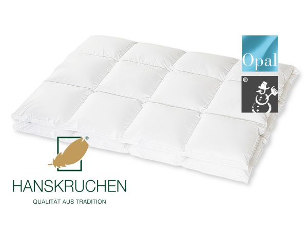 HANSKRUCHEN Kassettendecke OPAL warm