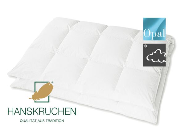 HANSKRUCHEN Kassettendecke OPAL medium