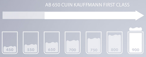 Kauffmann - First Class Daunen - Daunendecken
